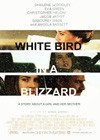 White Bird In A Blizzard (2013)2.jpg